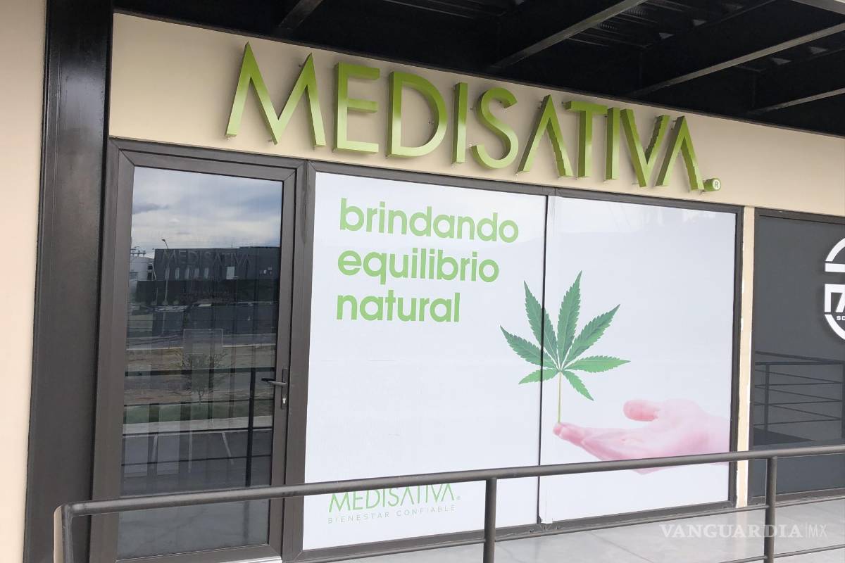 Saltillo: Adultos mayores aumentan consumo de productos derivados del cannabis (mariguana)