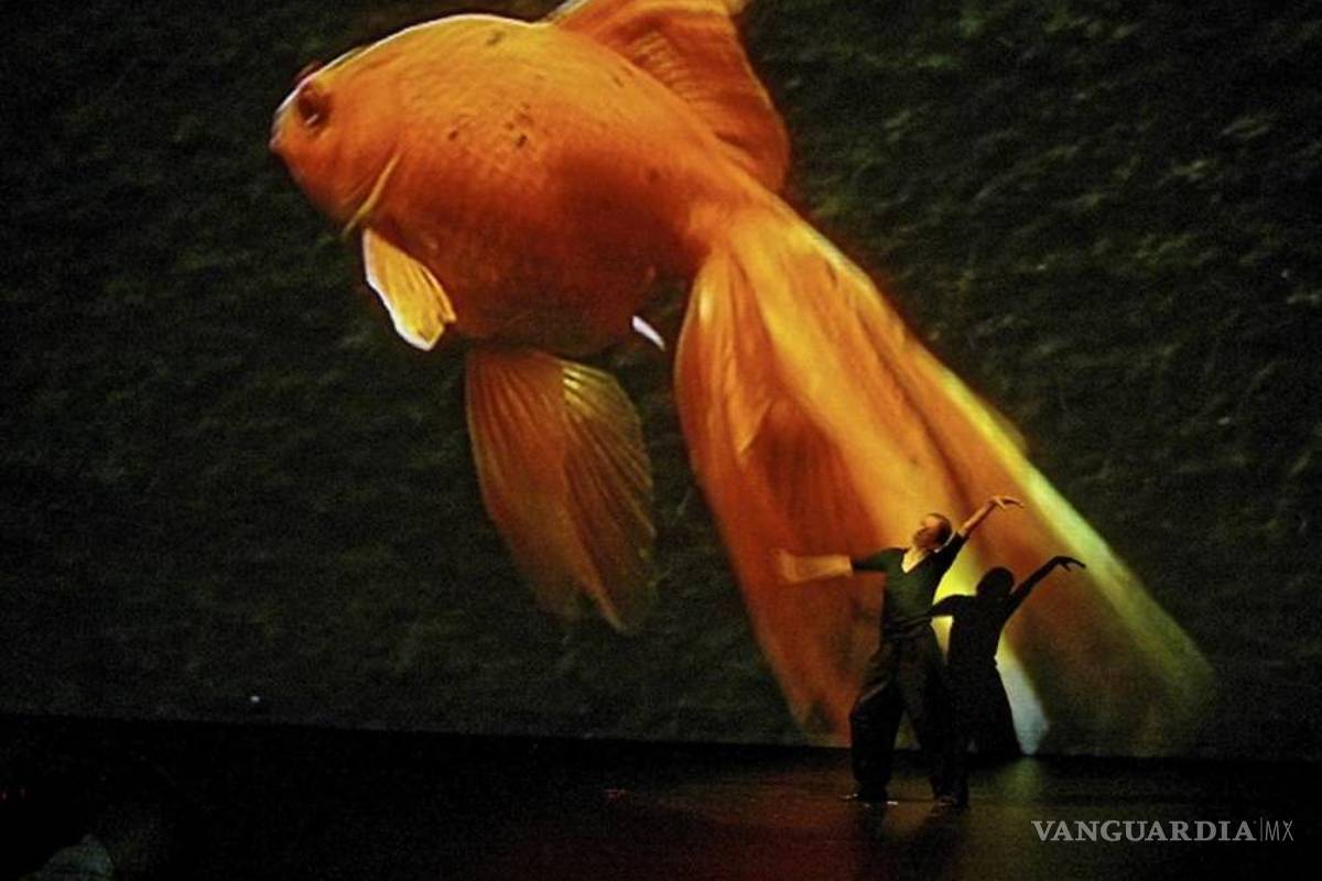 Alemania recuerda a la coréografa Pina Bausch con una gran muestra