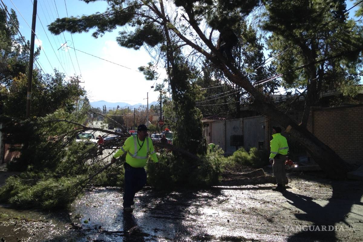 Fuertes vientos provocan daños en Saltillo