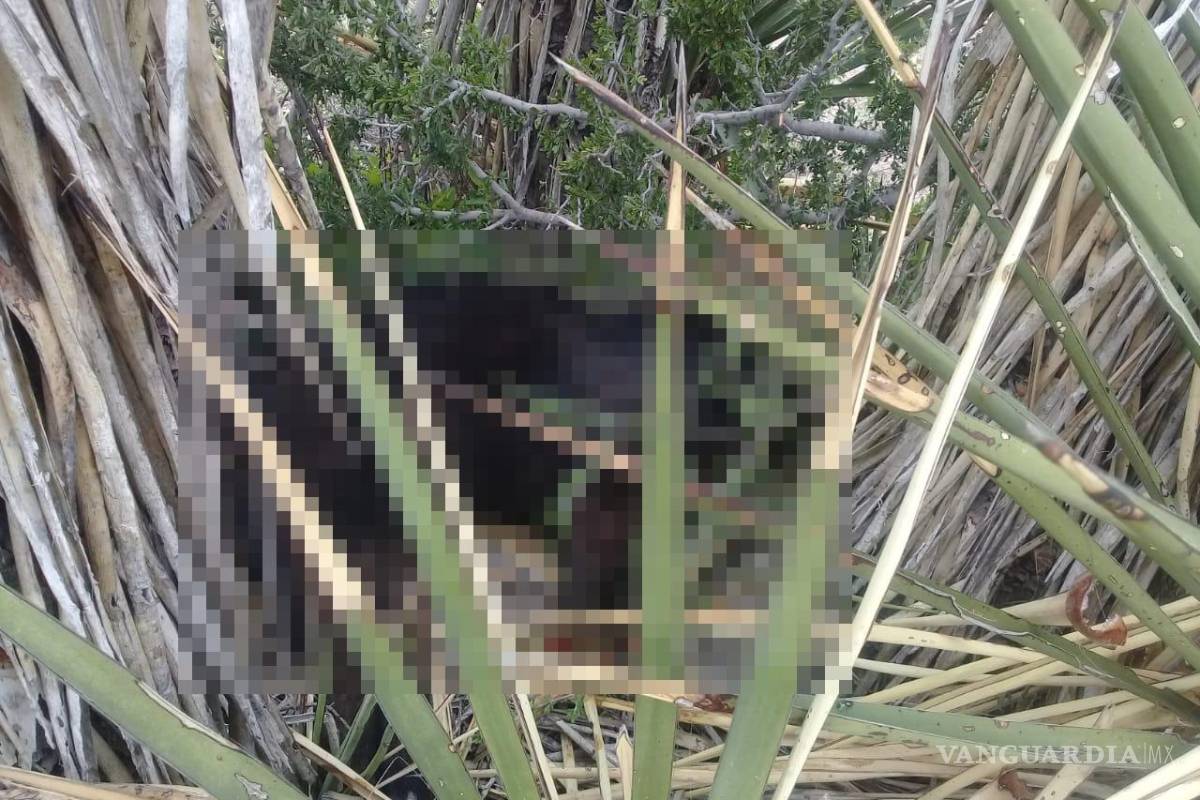 Cuerpo de osezna fue abandonado en cerro por autoridades municipales de Castaños