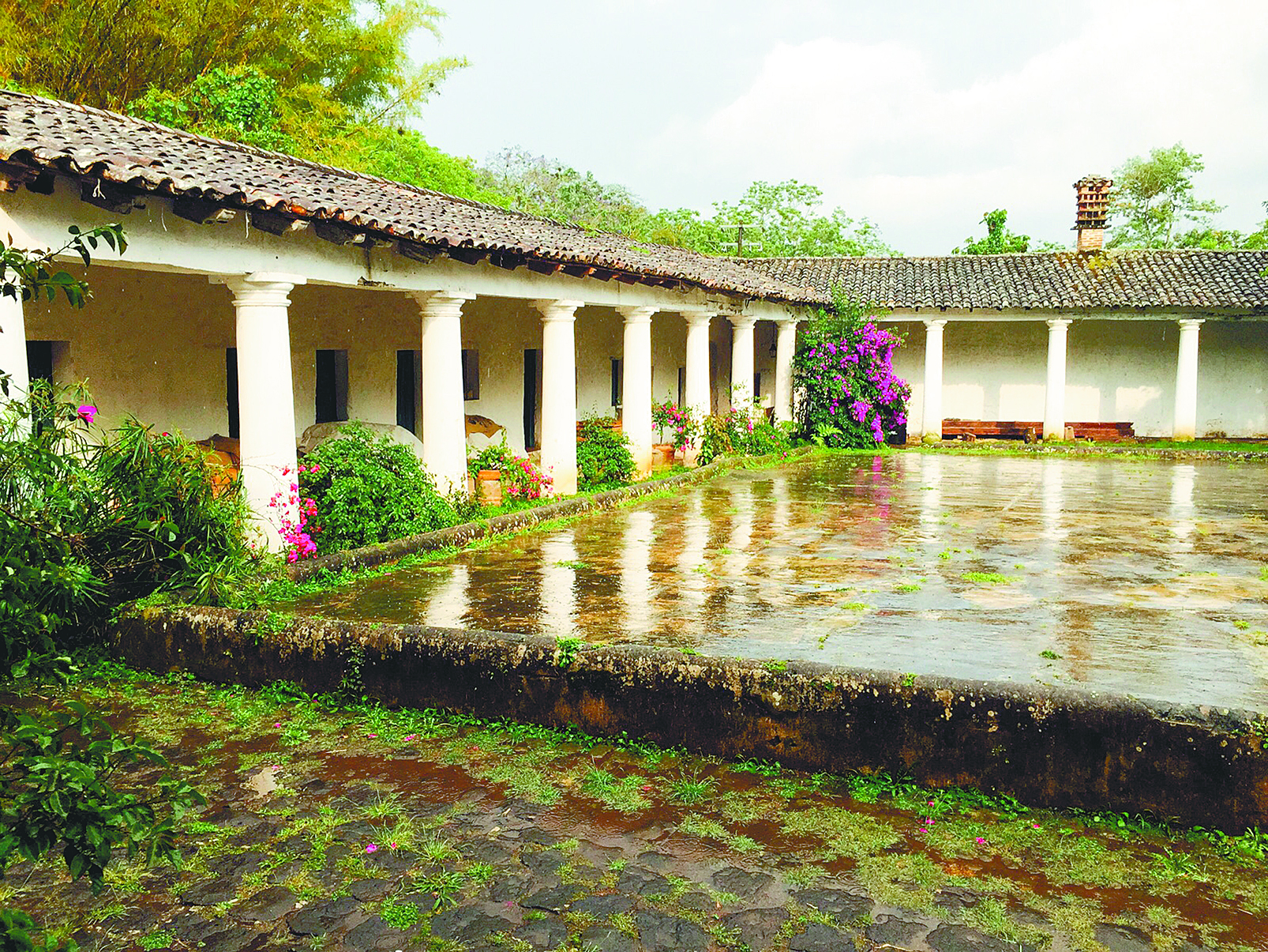 Pacho Nuevo: Historia, cine y café