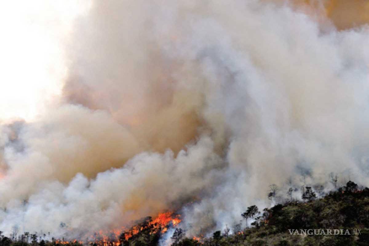 México en llamas; suman 135 incendios forestales