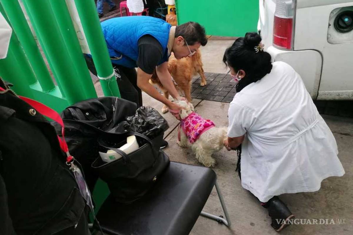 Alertan por falsa vacuna antirrábica en Edomex, ya han muerto mascotas