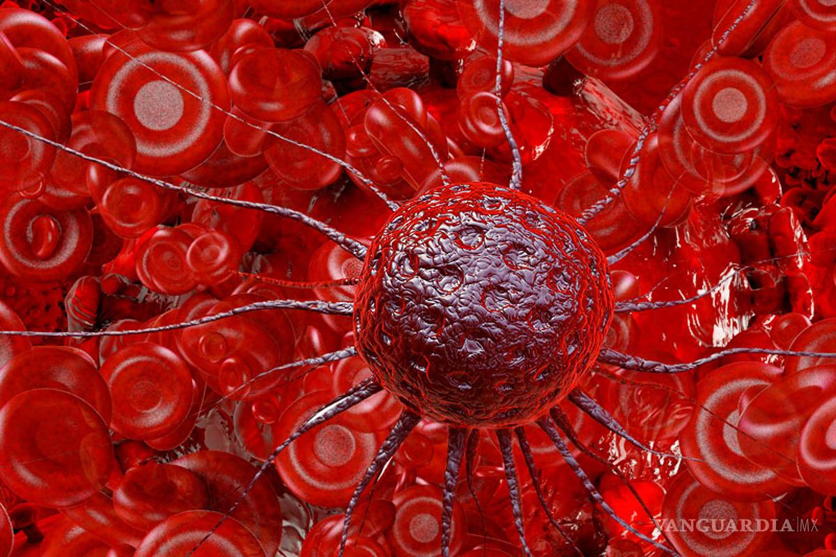 Diez datos que probablemente no sabías sobre el cáncer