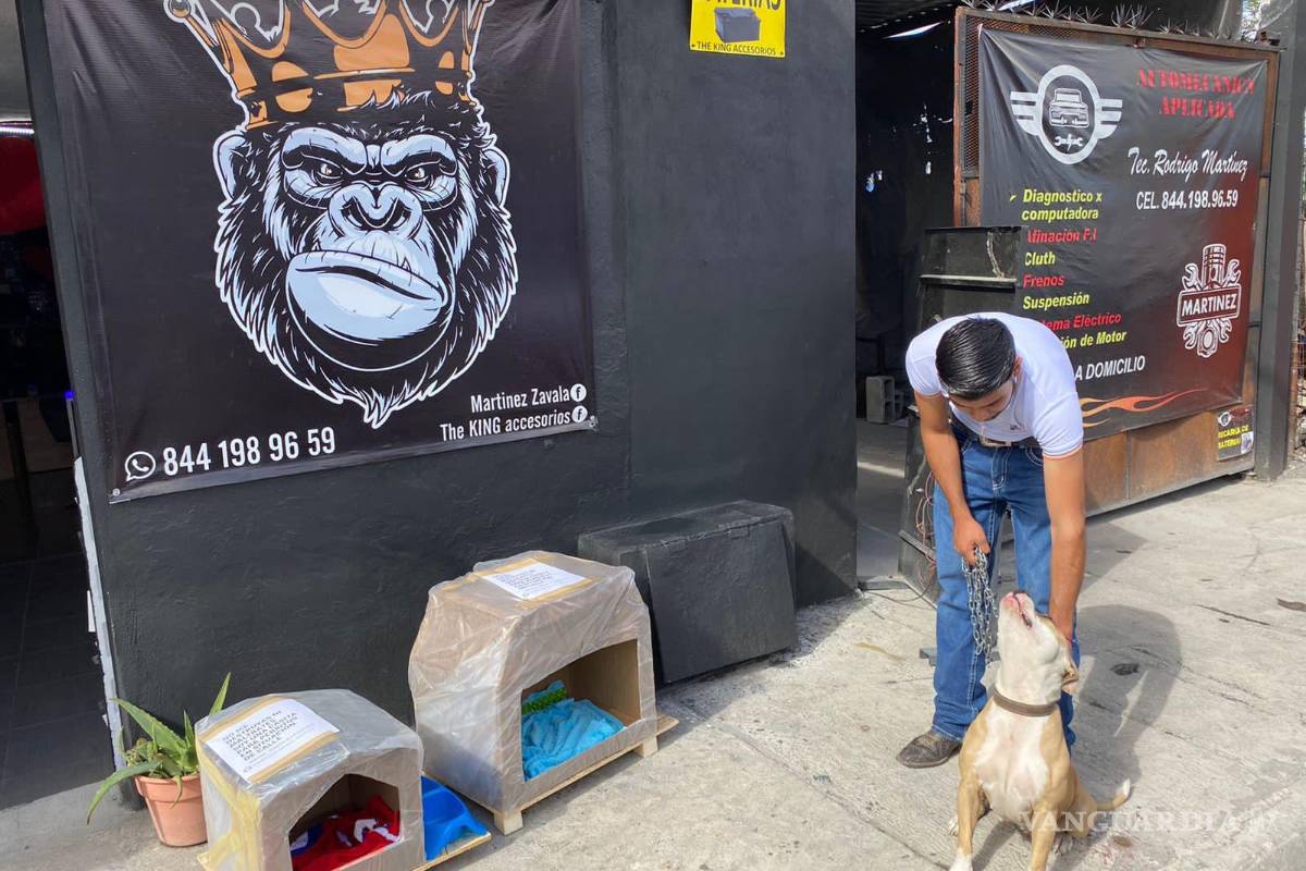 Colectivos animalistas de Saltillo realizan casitas para perritos en situación de calle