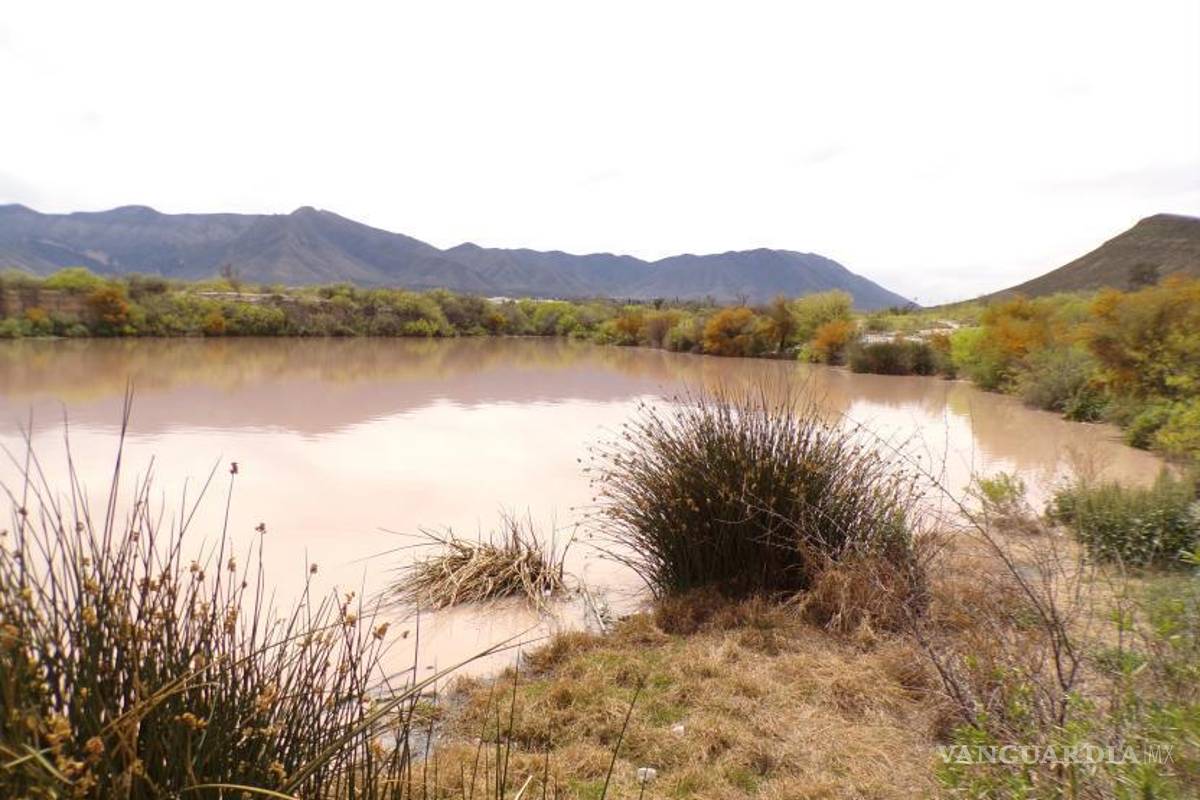 Saltillo: Denuncian vecinos contaminación de presa de gaviones, se perdió fauna silvestre