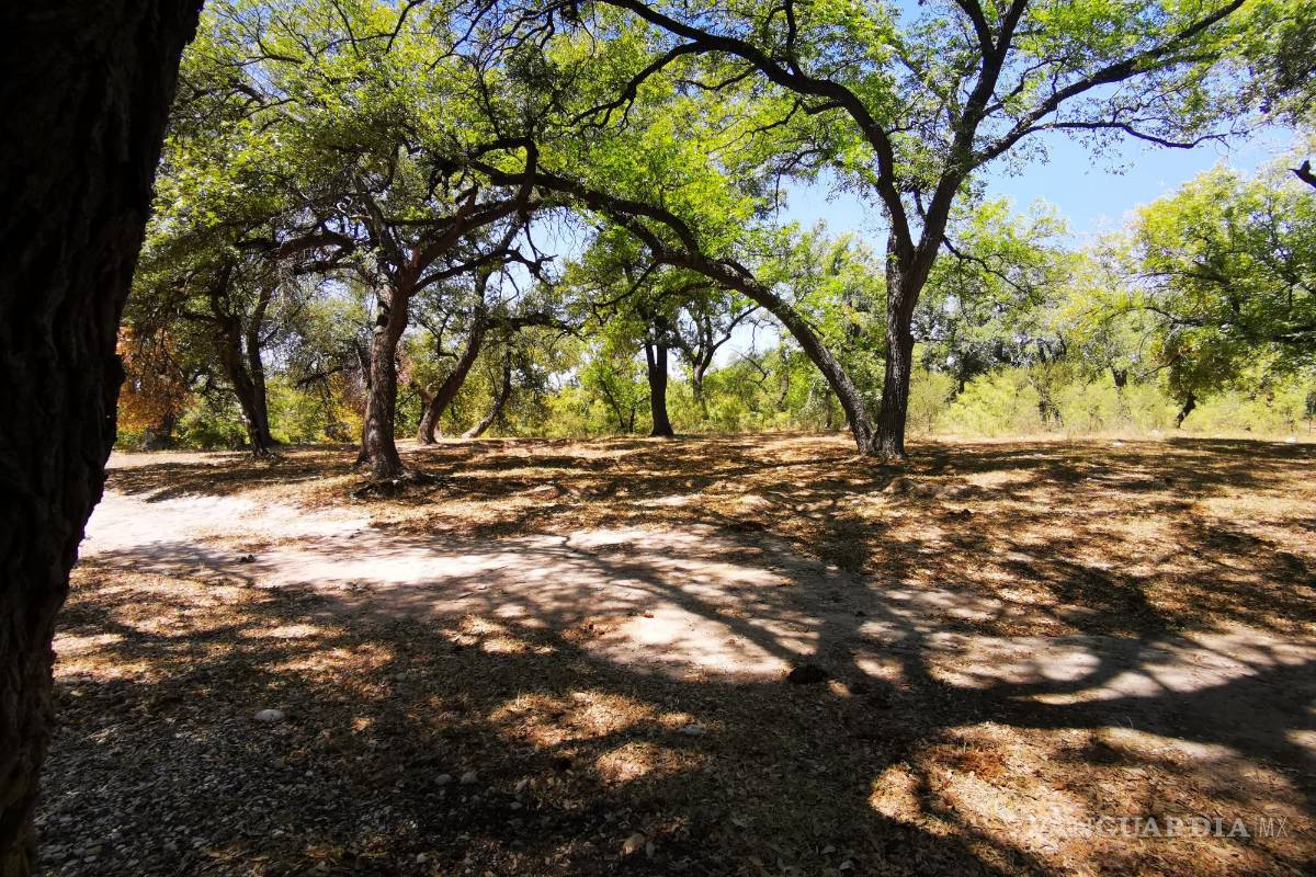 Pone a punto Protección Civil de Acuña protocolos de seguridad para Semana Santa