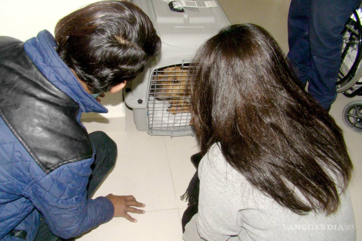 Criminólogo del FBI calificó de 'vergonzoso' el expediente elaborado por la PGJEC sobre caso del perro 'Max'