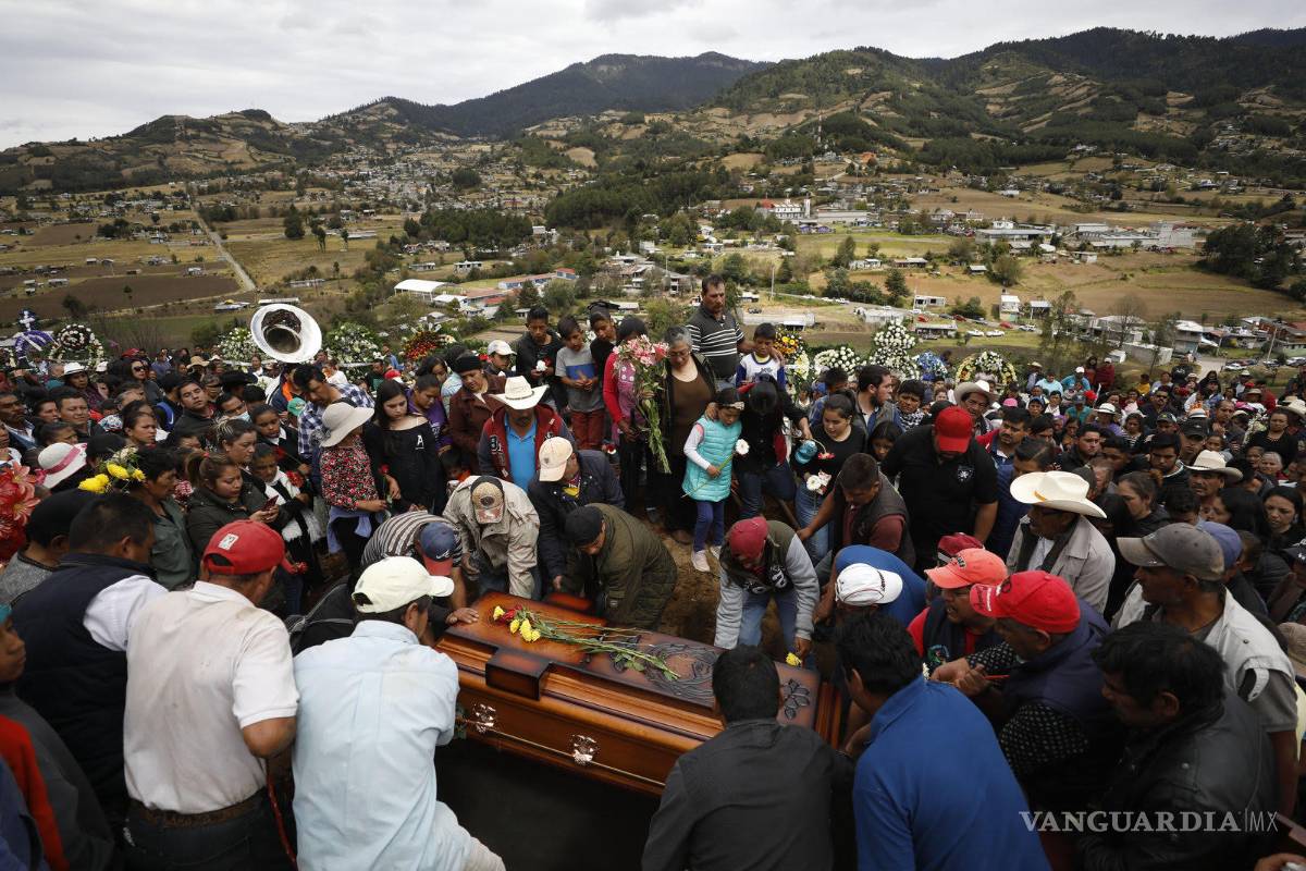 $!¿Por qué proteger las mariposas es tan peligroso?