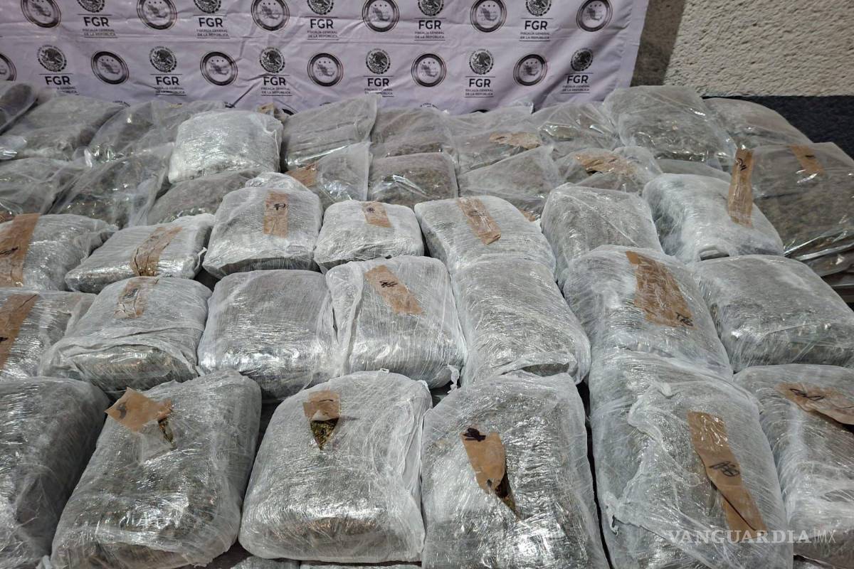 Capturan a hombre con 228 kilos de marihuana en General Bravo, Nuevo León