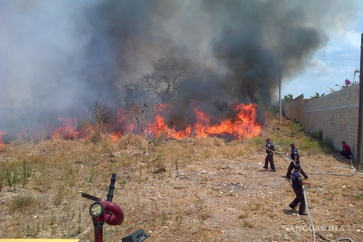 Cambio climático podría provocar incendios forestales de grandes magnitudes