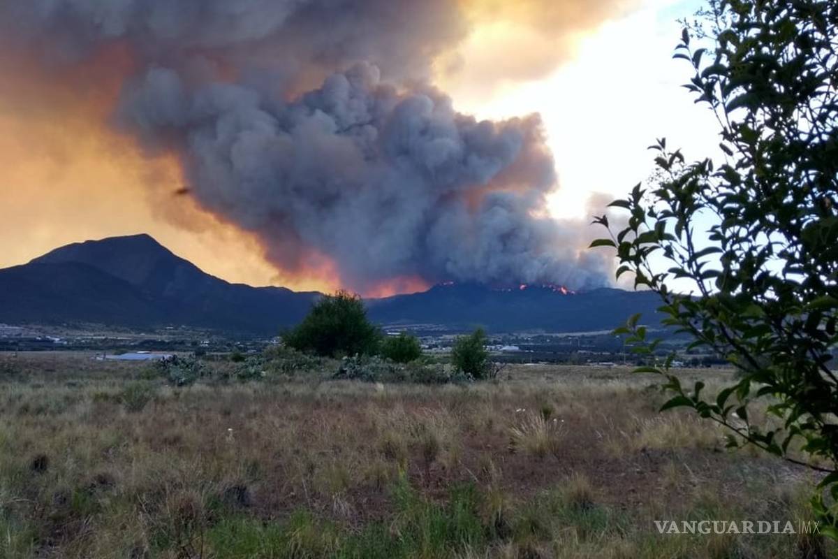$!Llamas alcanzan cabañas de descanso en la Sierra de Arteaga (video)