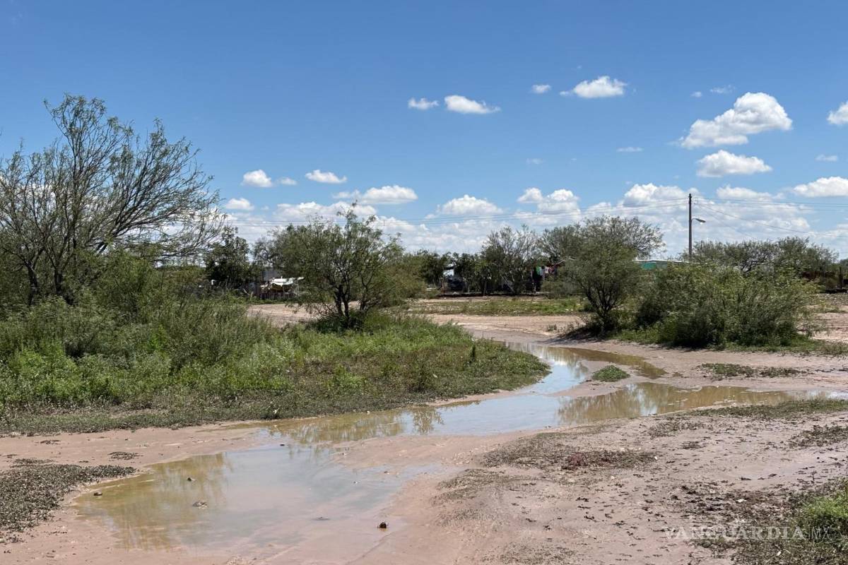 $!En el ejido Los Hoyos se apoyó a una familia cuya vivienda presentó acumulación de agua en su interior.