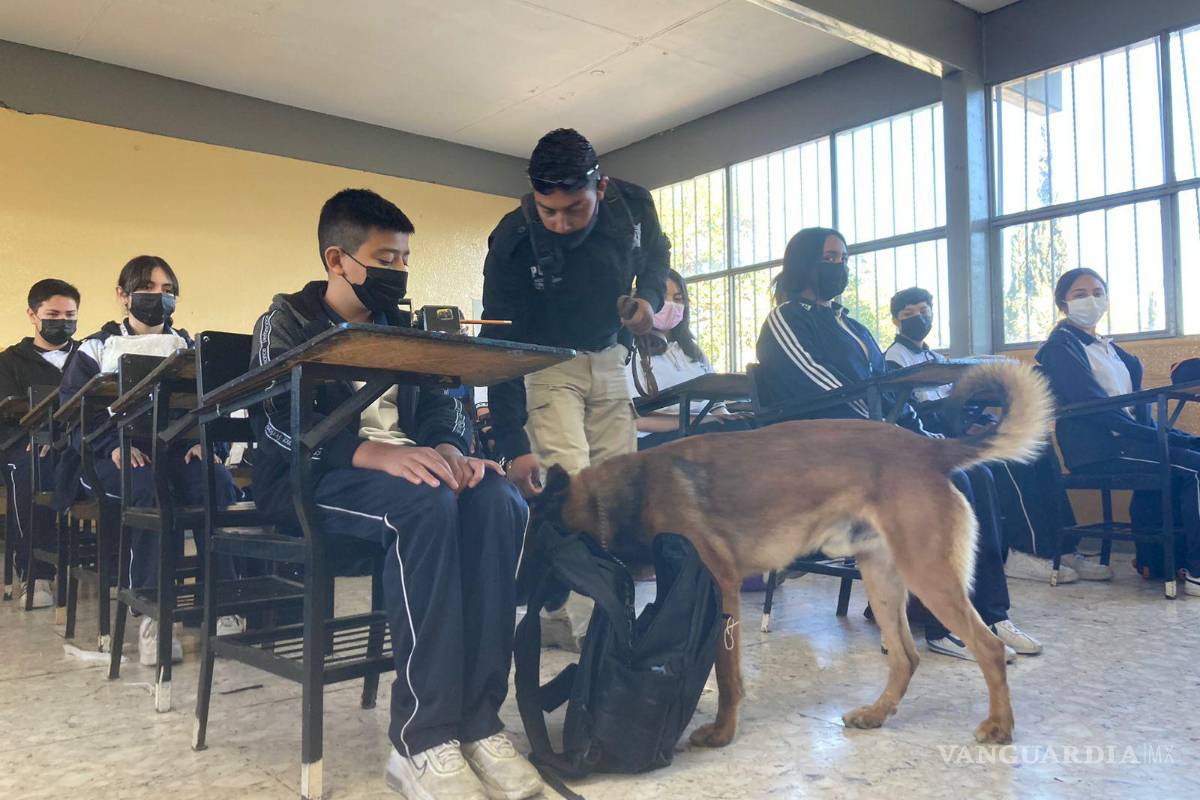 Realizan operativo mochila en Saltillo; sur y oriente con mayor detección de narcóticos y armas blancas