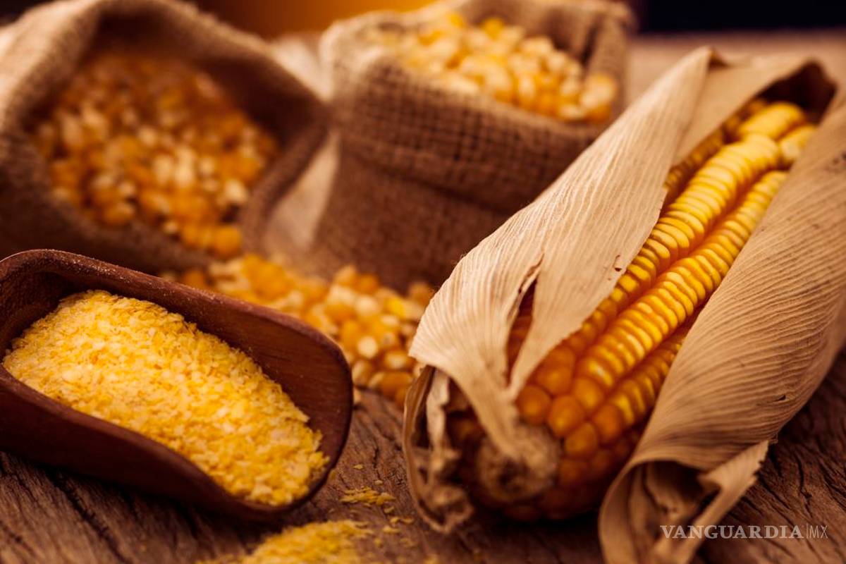 Maíz subió 117 por ciento en 10 meses, provoca aumento en la tortilla