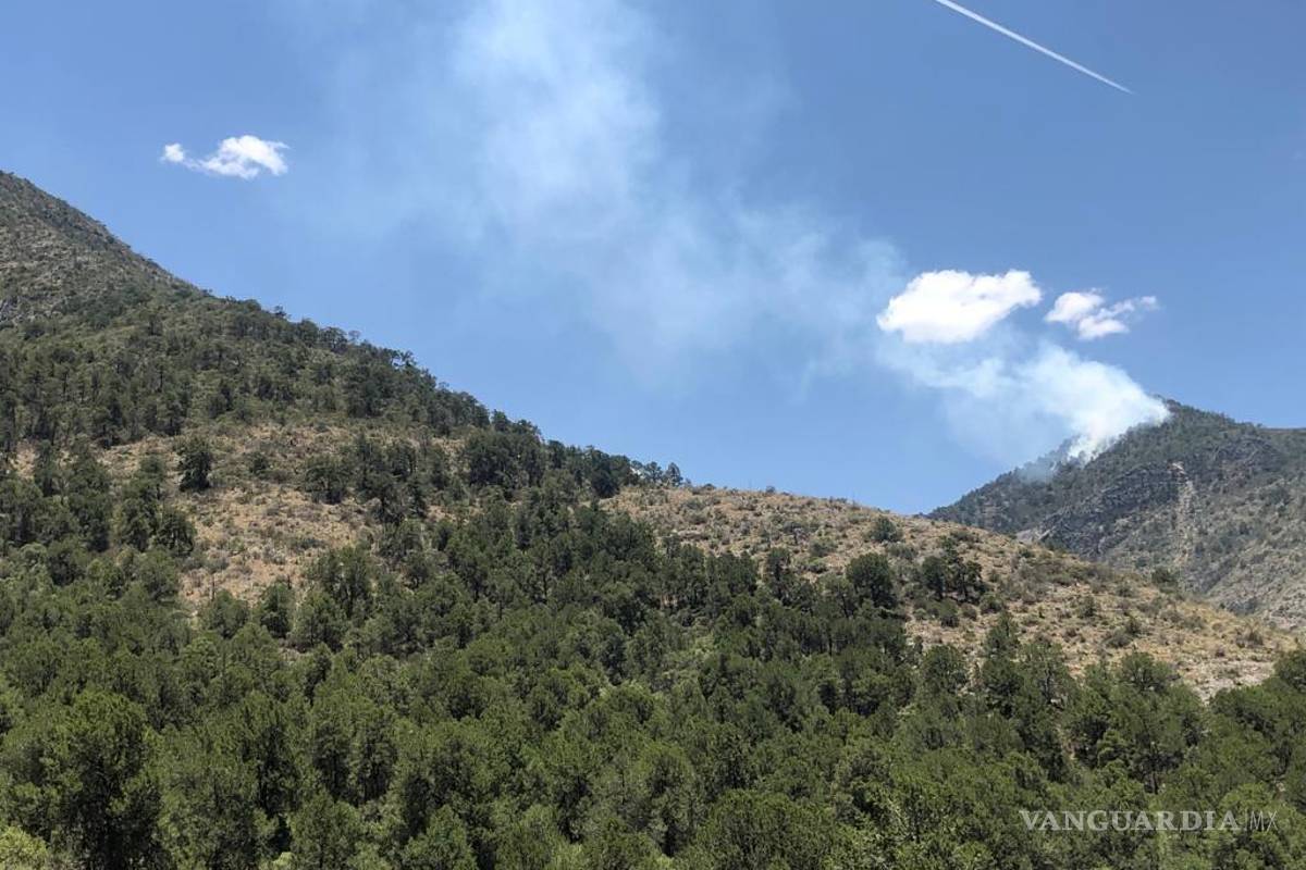 Reportan incendio forestal en los límites de Coahuila y Nuevo León