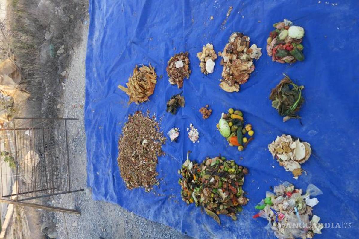 $!La interacción entre las bacterias indígenas de la FORSU y el consorcio microbiano del lodo residual potenció la producción de biohidrógeno, demostrando que la combinación de microorganismos nativos y mixtos puede incrementar la eficiencia del proceso.