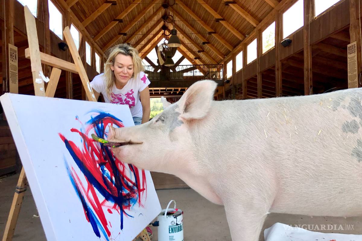 Conoce a Pigcasso, el famoso cerdito que pinta