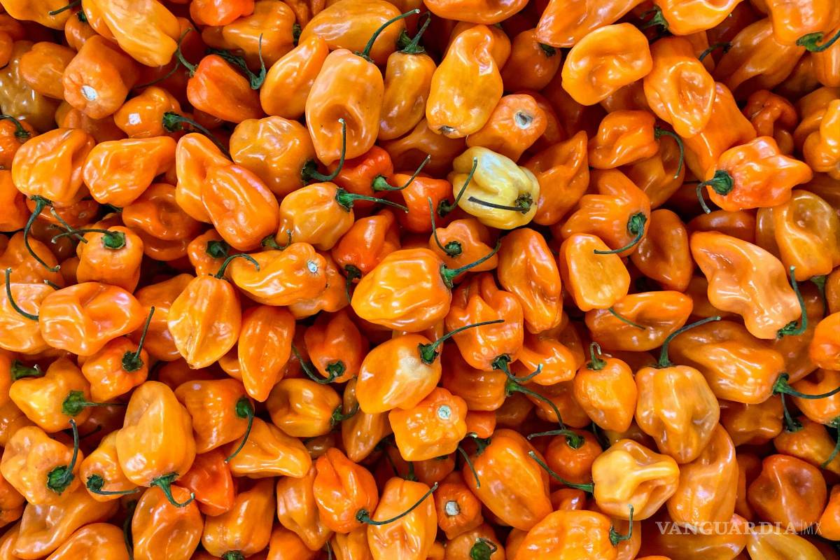 ¿Qué le ocurre a mi cuerpo cuando como picante?