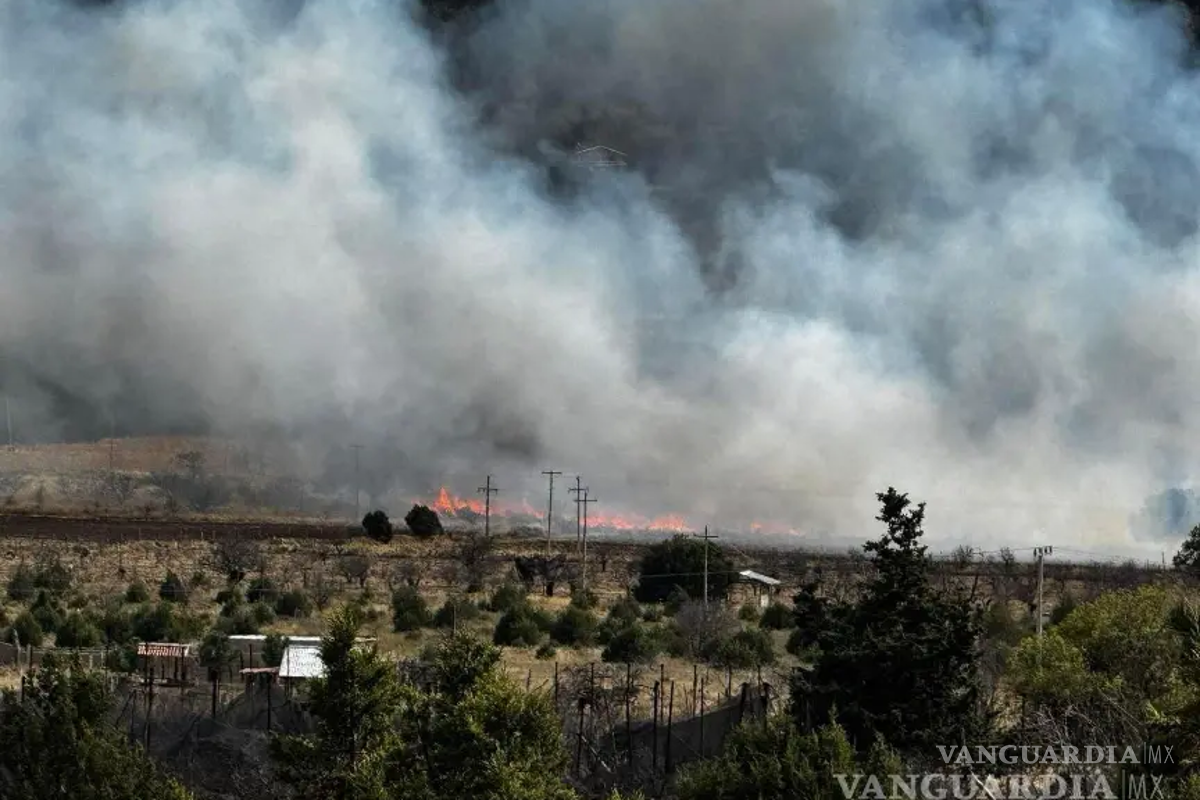 Incendio forestal consumió 25 hectáreas en la Sierra de Arteaga