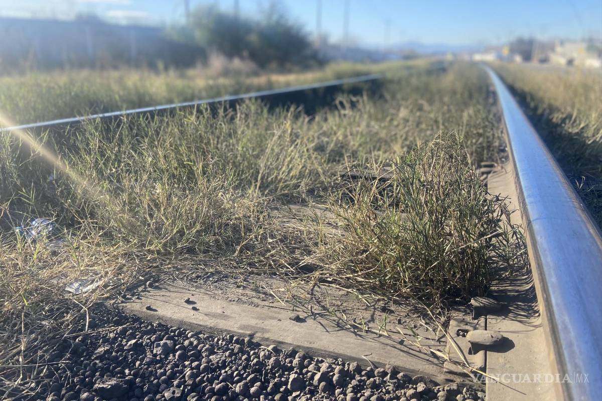 Encuentran a hombre sin vida sobre vías del ferrocarril en la carretera Monclova-Sabinas