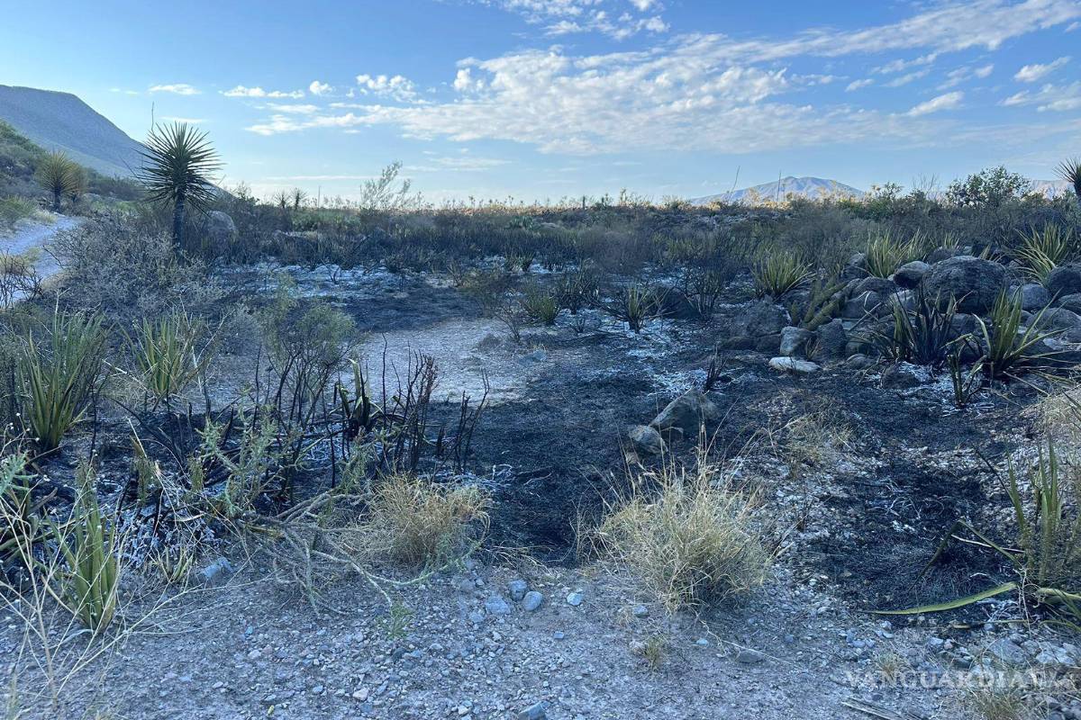 Sofocan incendio forestal en el Cañón de Jimulco; brigadistas comunitarios se visten de héroes