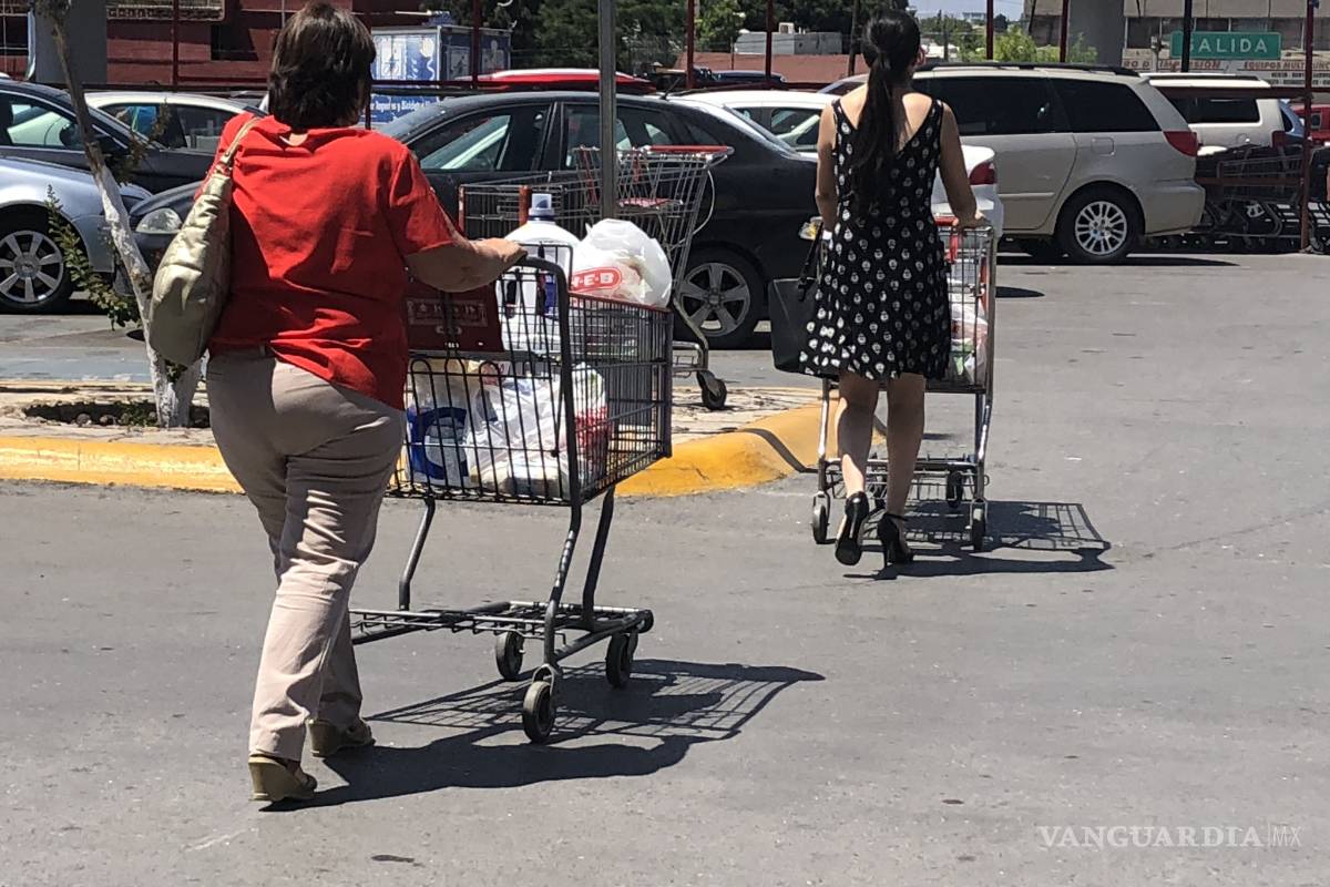 Uso de bolsas ecológicas en Saltillo; un hábito que no ‘prende’