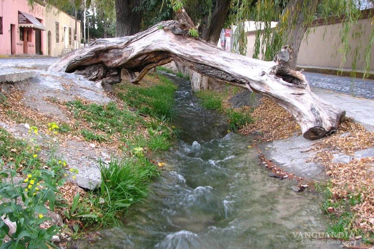 Si concreta Arteaga alianza con Saltillo en tema del agua ‘se van a arrepentir’, afirma activista