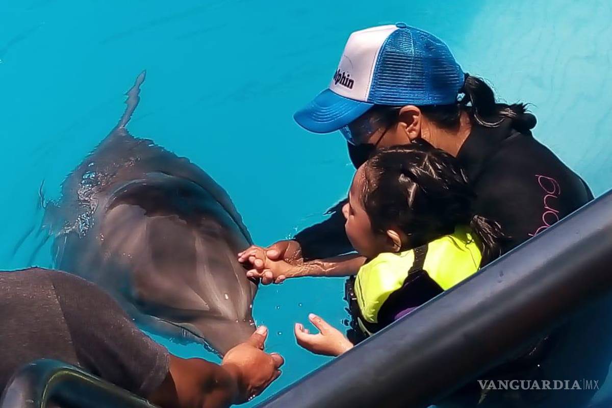 ¿Quieres ayudar a niños autistas? En Saltillo puedes comprar ‘delfinochocolates’