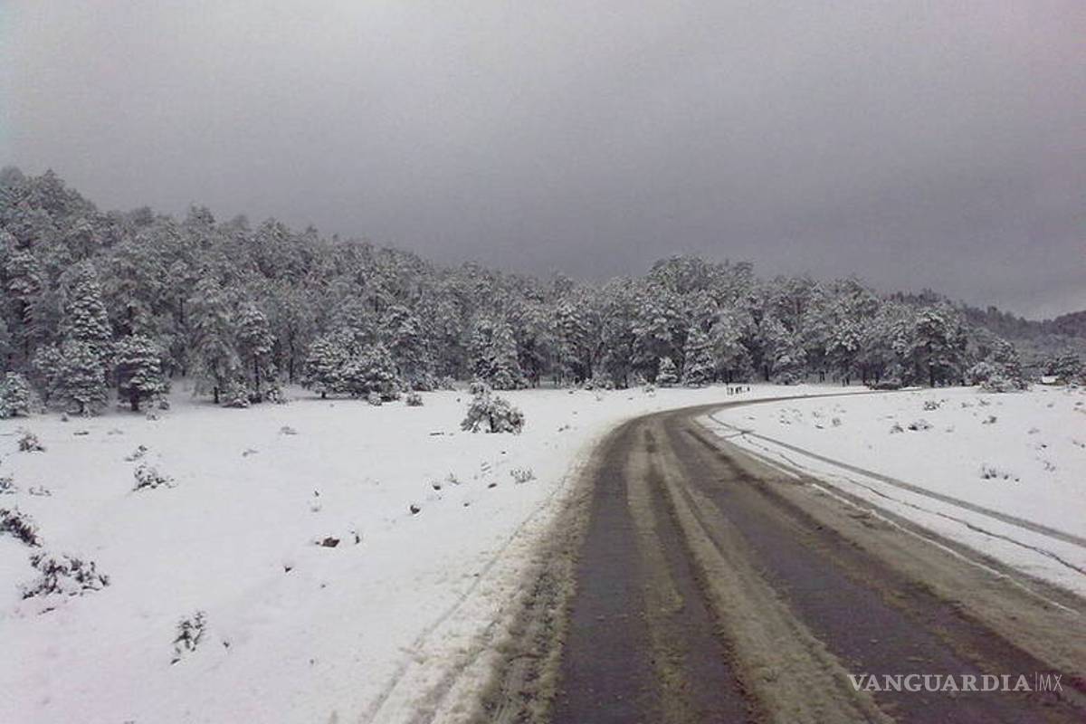 Prevén frío extremo y nevadas al norte del país