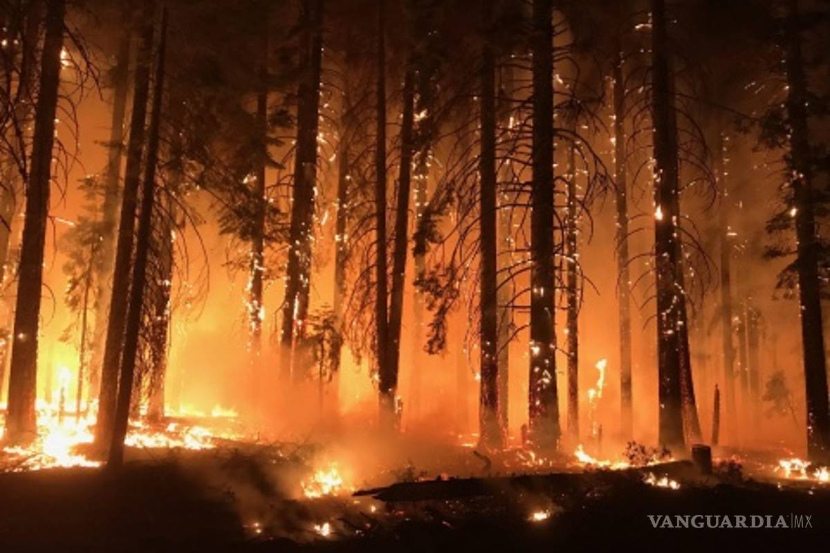$!Sube a 83 el número de muertos por incendios en California