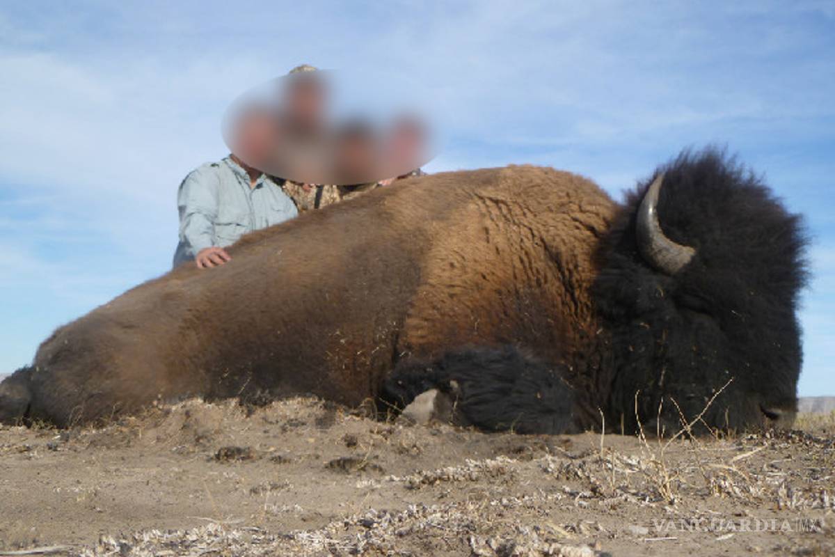 Indignan imágenes de caza de bisontes en Coahuila