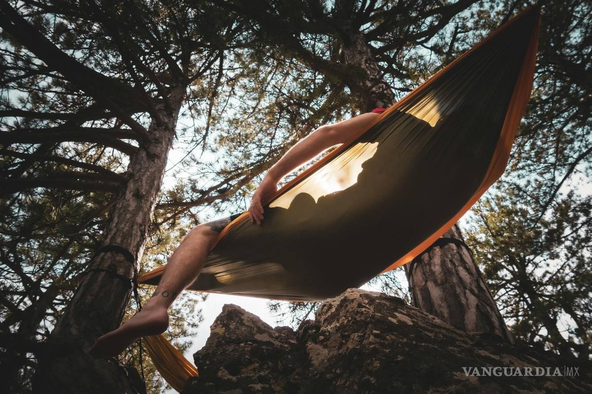 ¿Cómo será de duro el trabajo, que hasta pagan por hacerlo?