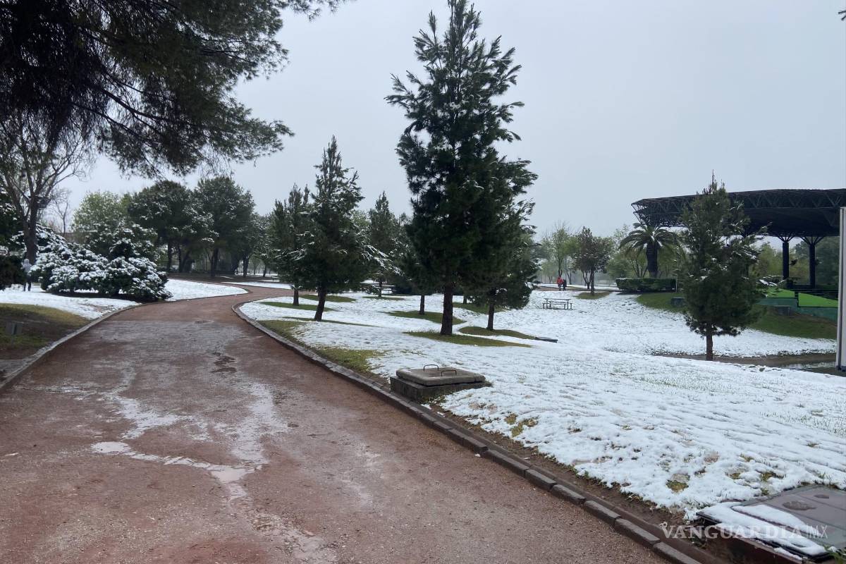 Reporta Municipio saldo blanco tras nevada en Monclova