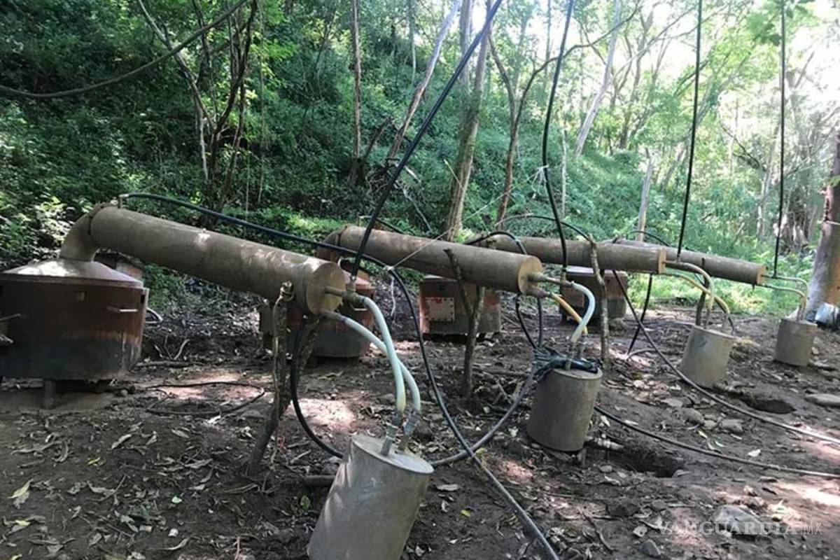La Policía desmantela un laboratorio de éxtasis que abastecía a todo Brasil