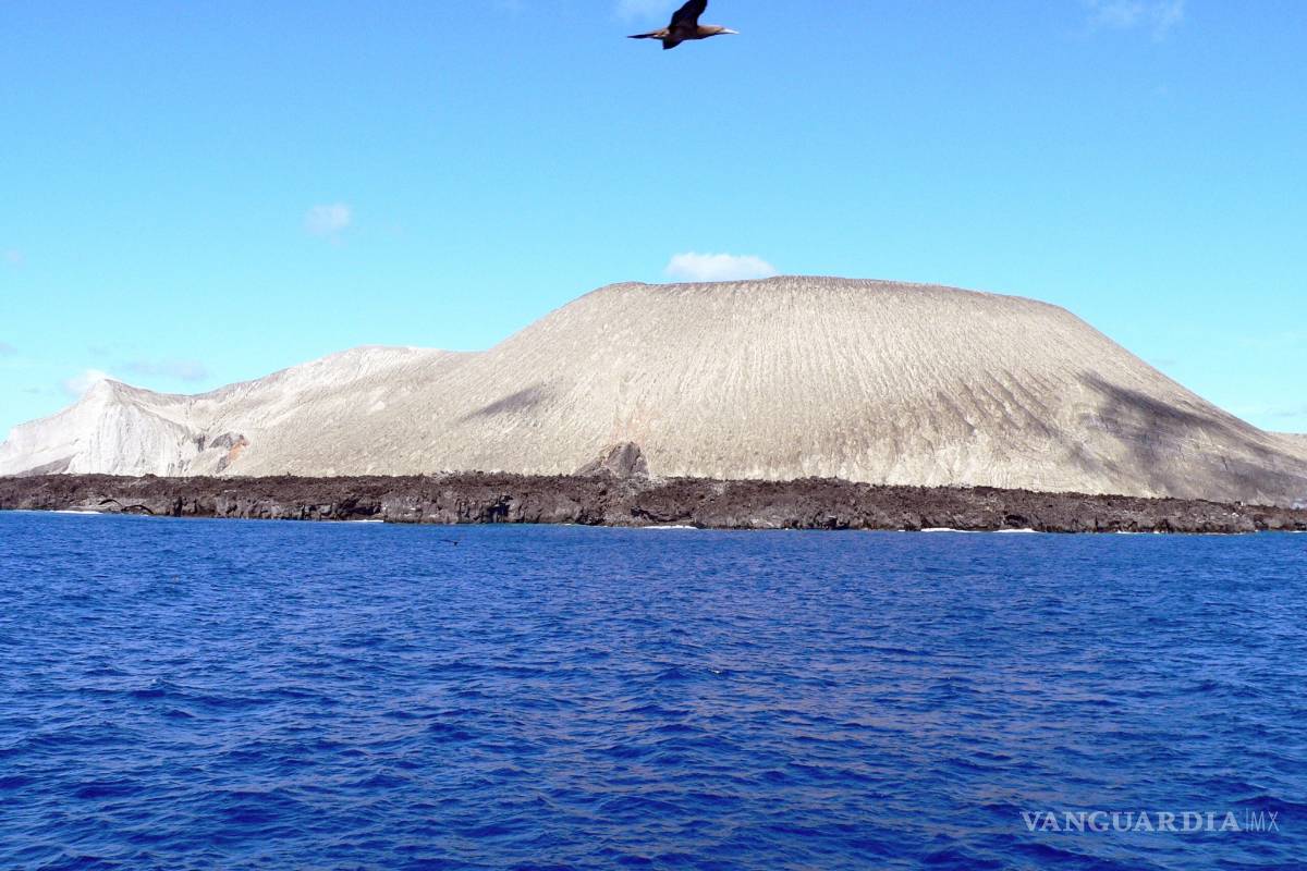 UNESCO reconoce a las Islas de Revillagigedo como Patrimonio de la Humanidad