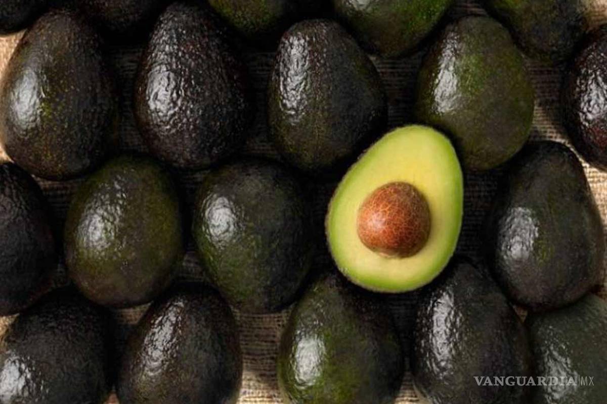 El aguacate por los cielos... ¡hasta en 80 pesos el kilo!
