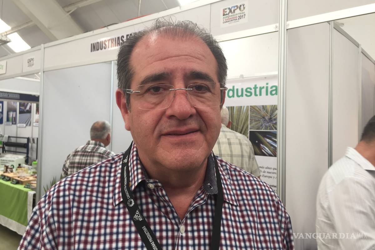 Critica IP 'Mini baja' de gasolina