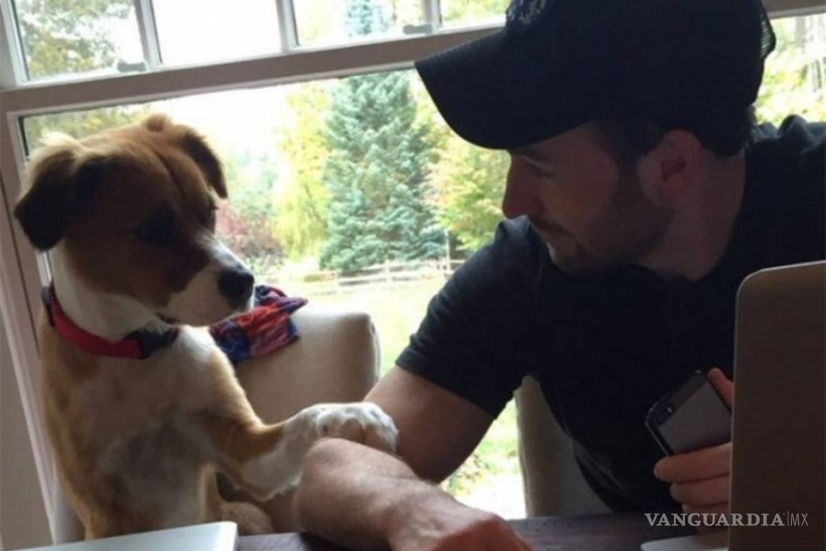 El Capitán América y el tierno reencuentro con su perro