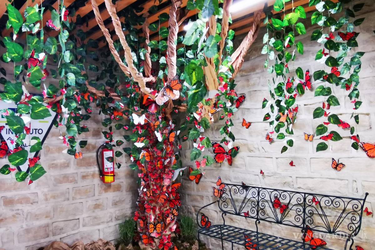 ‘Se debe heredar el amor por la naturaleza’, pide ambientalista tras el paso de la Mariposa Monarca en Acuña