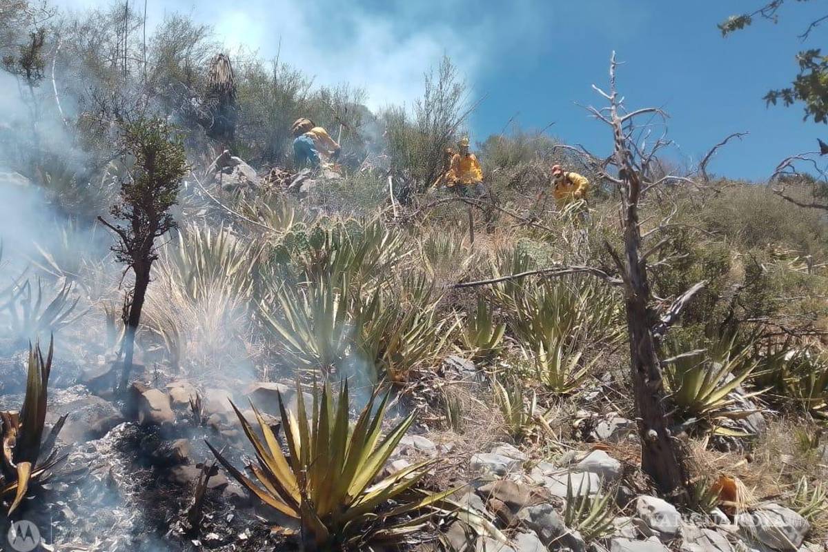 Hay 4 incendios forestales activos en Coahuila