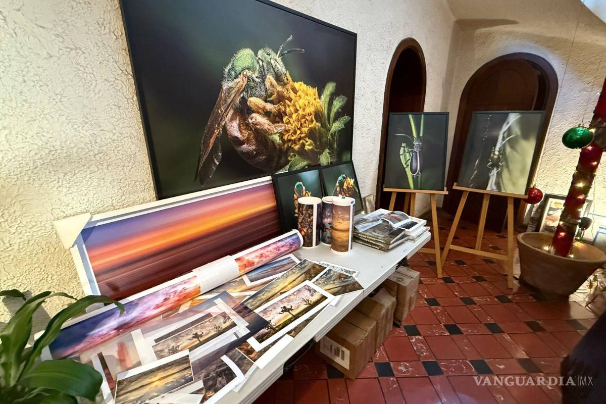 Daniel Bates Hurtado abre su estudio con fotografías de los bosques y desiertos de Coahuila