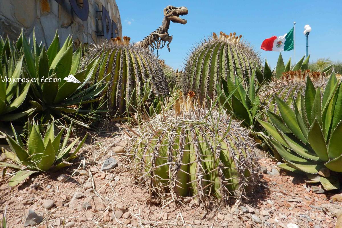 Inician hoy en Mude ciclo de talleres de arte