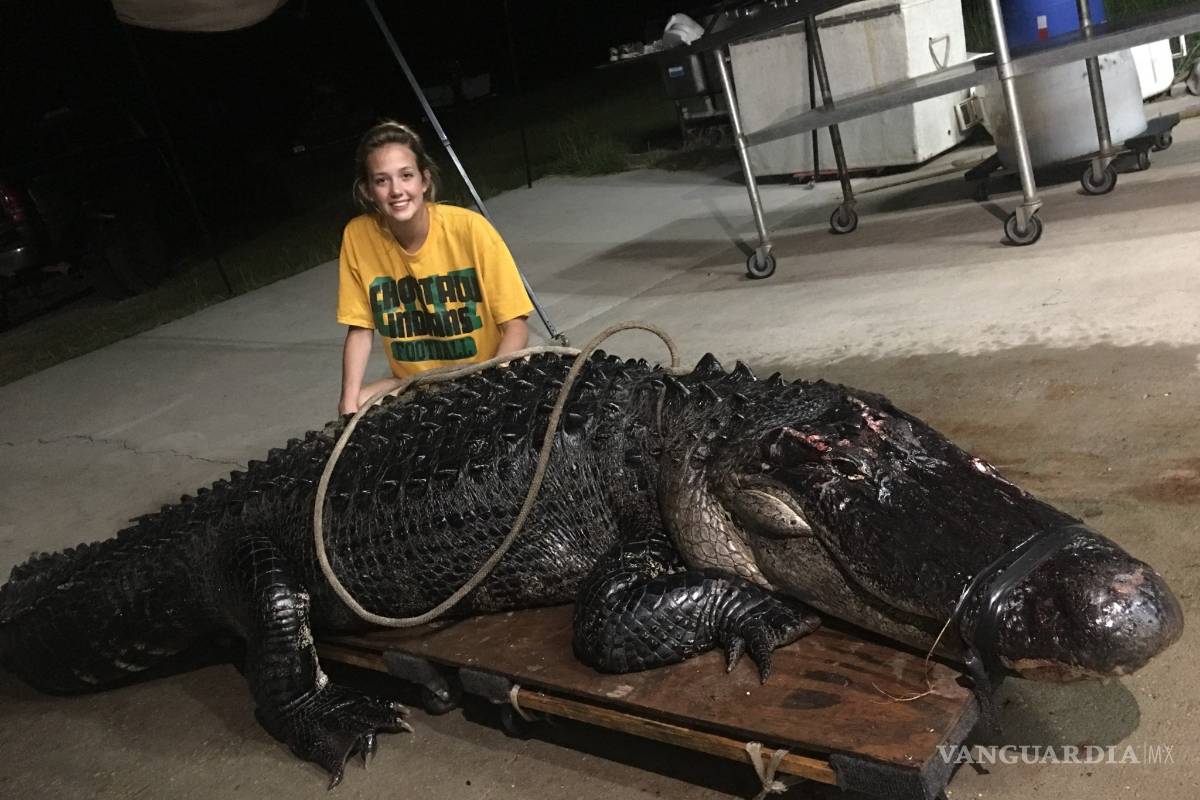 Un gigantesco caimán colisiona contra un camión en una autopista de Florida