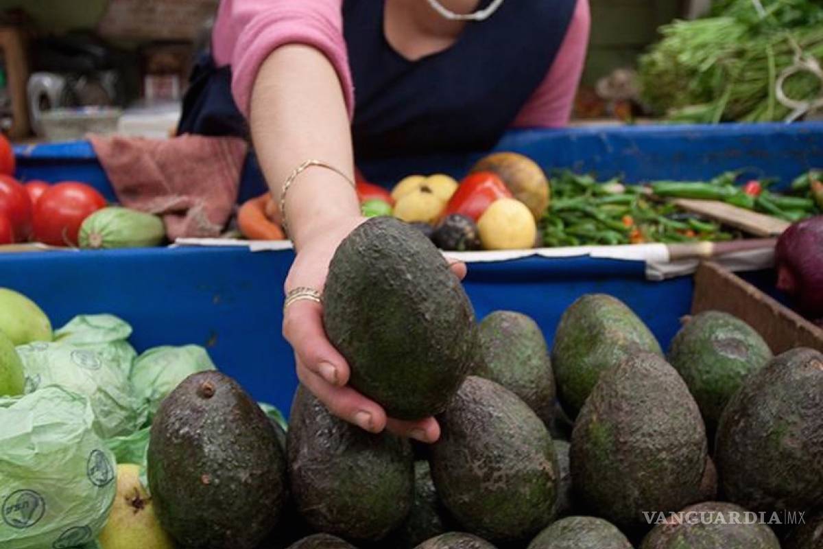 EU elimina restricción al aguacate mexicano