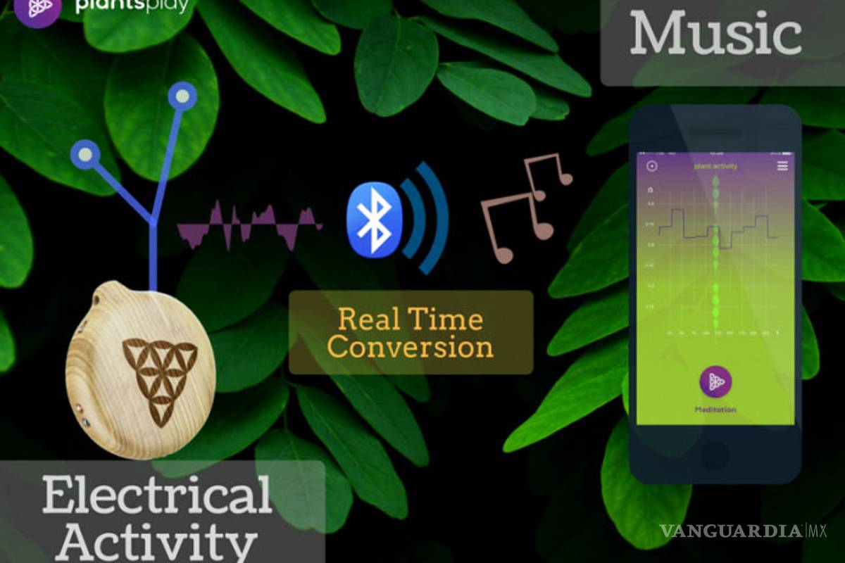 Crean dispositivo que convierte a las plantas en música