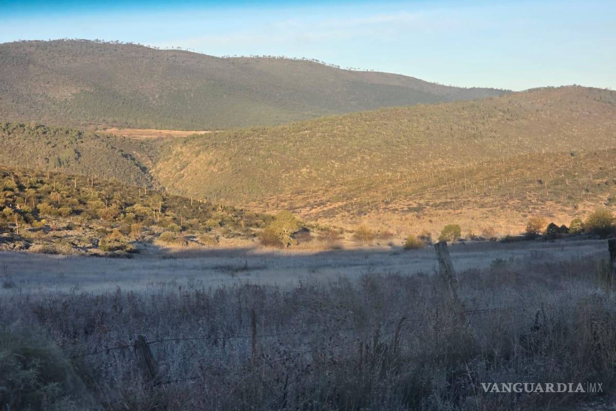 Frente Frío número 13 trae la presencia de hielo al sur de NL