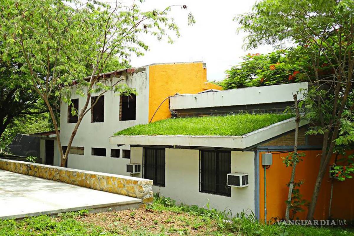 Pon a tu casa una piel verde