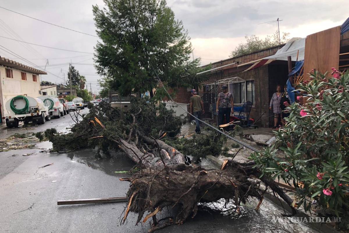 $!Tormenta azota diferentes puntos en Saltillo; reportan inundaciones, derriba 12 árboles y 3 bardas