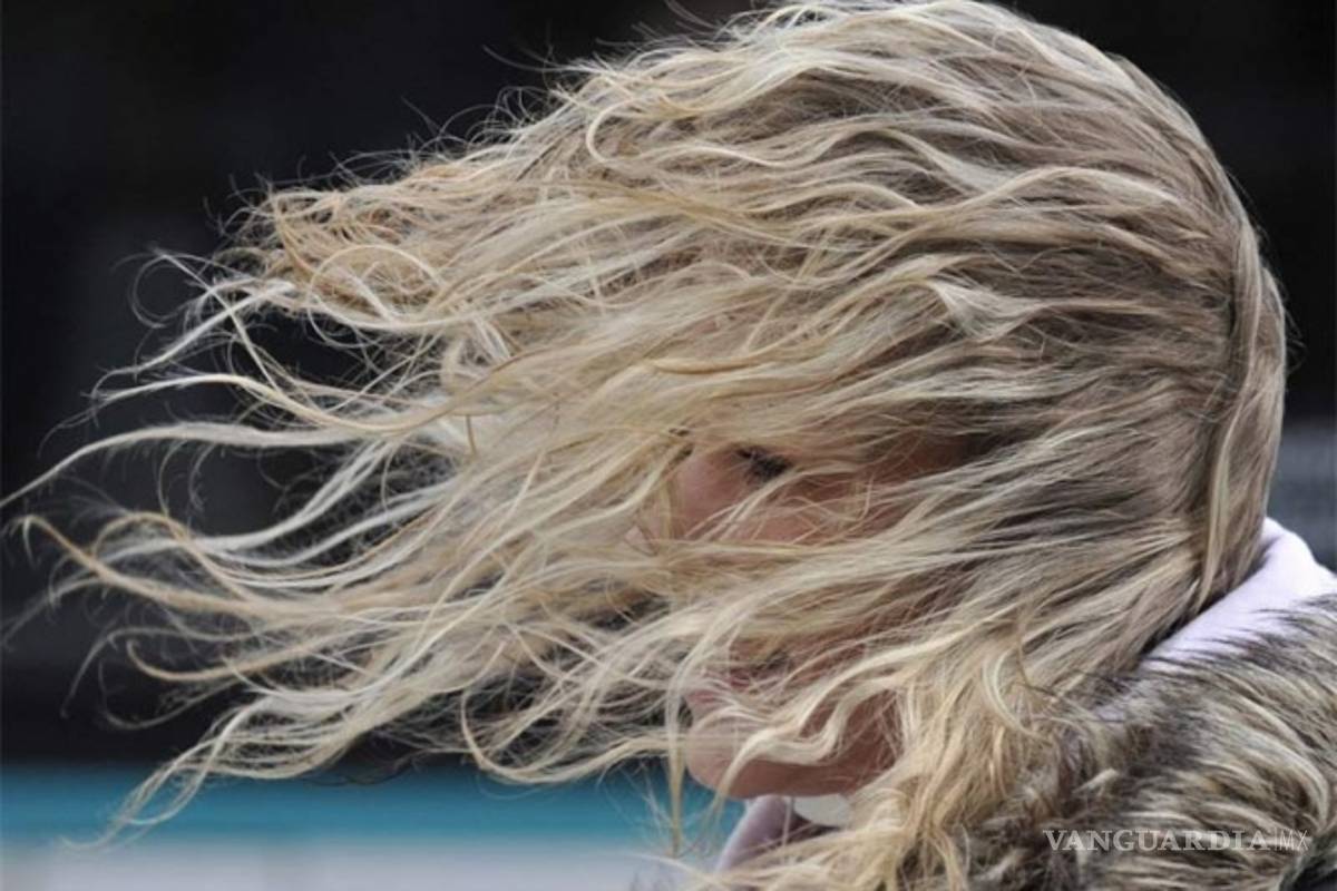 Clonación capilar ¿El principio del fin de la alopecia?